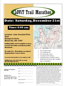 Updated Flyer for the 2013 LOViT Marathon, now scheduled for Dec. 21, 2013.